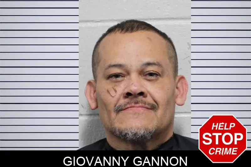 Giovanny Gannon mugshot – Habersham County , Georgia Giovanny Gannon mugshot