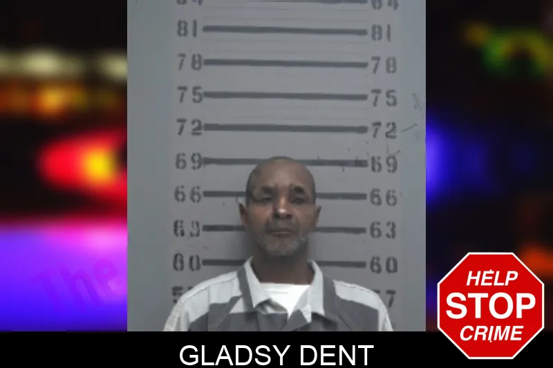 Gladsy Dent mugshot – Dougherty County , Georgia Gladsy Dent mugshot