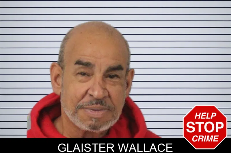 Glaister Wallace mugshot – Mcintosh County , Georgia Glaister Wallace mugshot