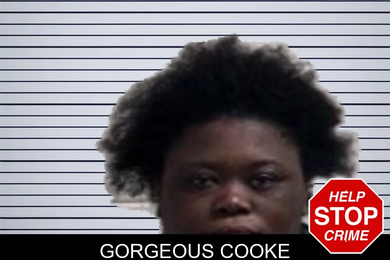 Gorgeous Cooke mugshot