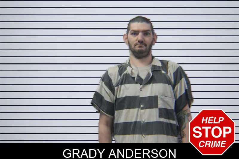 Grady Anderson mugshot