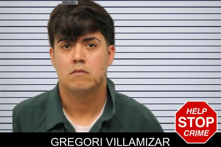 Gregori Villamizar