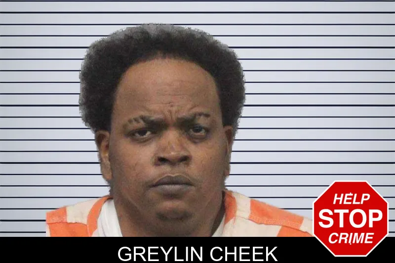 Greylin Cheek mugshot – White County , Georgia Greylin Cheek mugshot