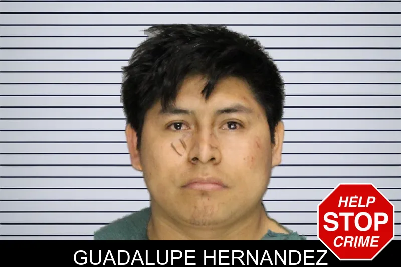 Guadalupe Hernandez mugshot – Cobb County , Georgia Guadalupe Hernandez mugshot