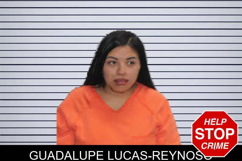 Guadalupe Lucas-Reynoso mugshot