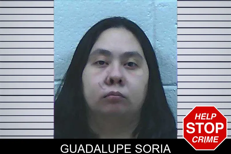 Guadalupe Soria mugshot