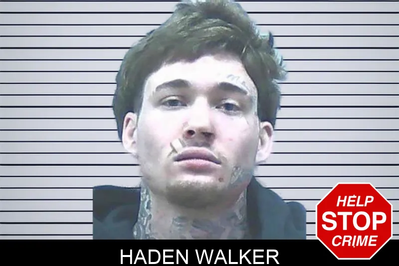 Haden Walker mugshot