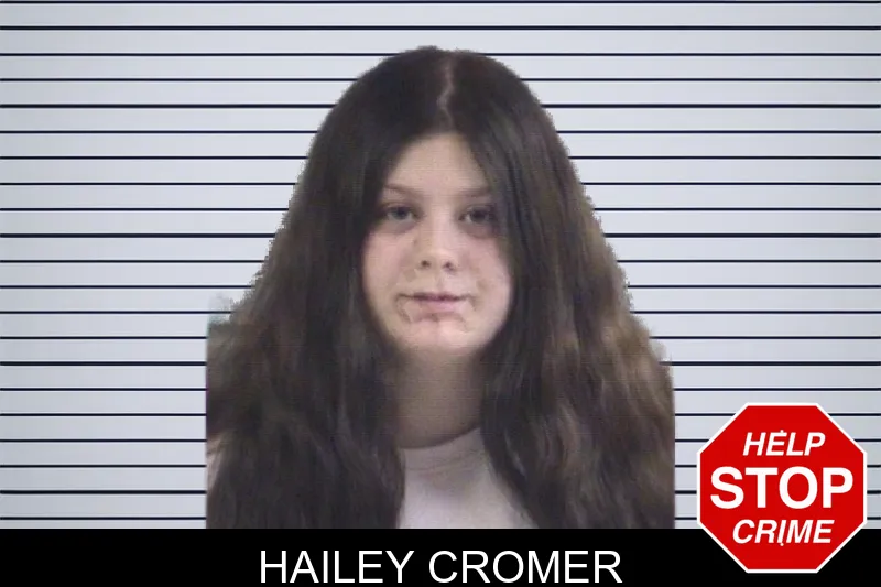 Hailey Cromer mugshot – Whitfield County , Georgia Hailey Cromer mugshot