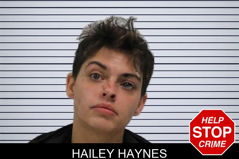 Hailey Haynes mugshot