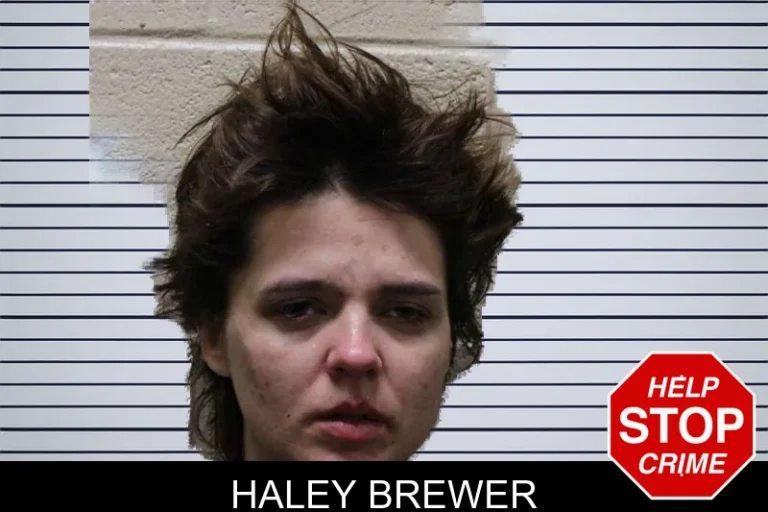 Haley Brewer mugshot – Haralson County , Georgia Haley Brewer