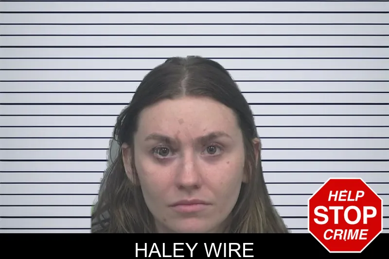 Haley Wire mugshot – Gwinnett County , Georgia Haley Wire mugshot