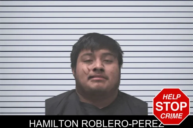 Hamilton Roblero-Perez