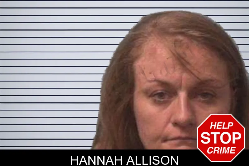 Hannah Allison mugshot