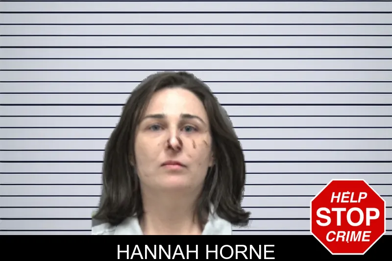 Hannah Horne mugshot
