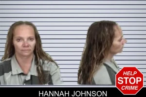 Hannah Johnson mugshot
