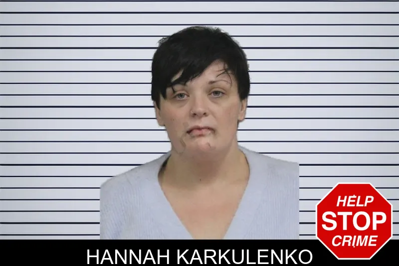 Hannah Karkulenko mugshot – Catoosa County , Georgia Hannah Karkulenko mugshot