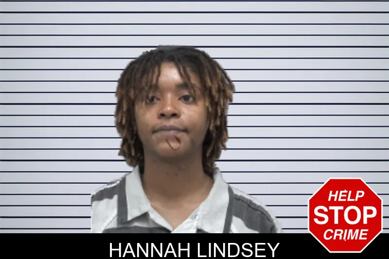 Hannah Lindsey mugshot