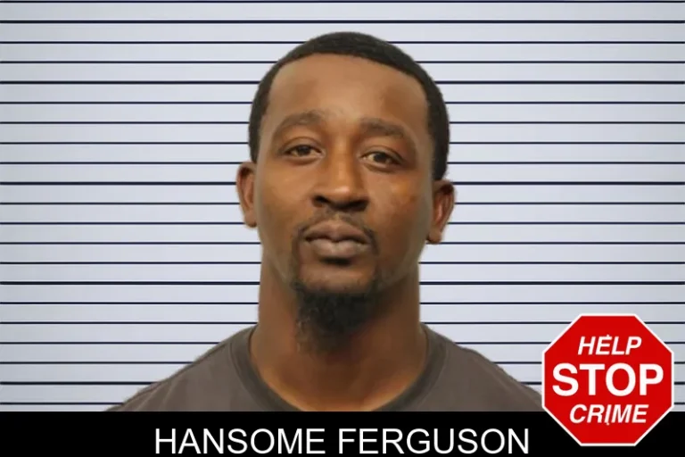 Hansome Ferguson