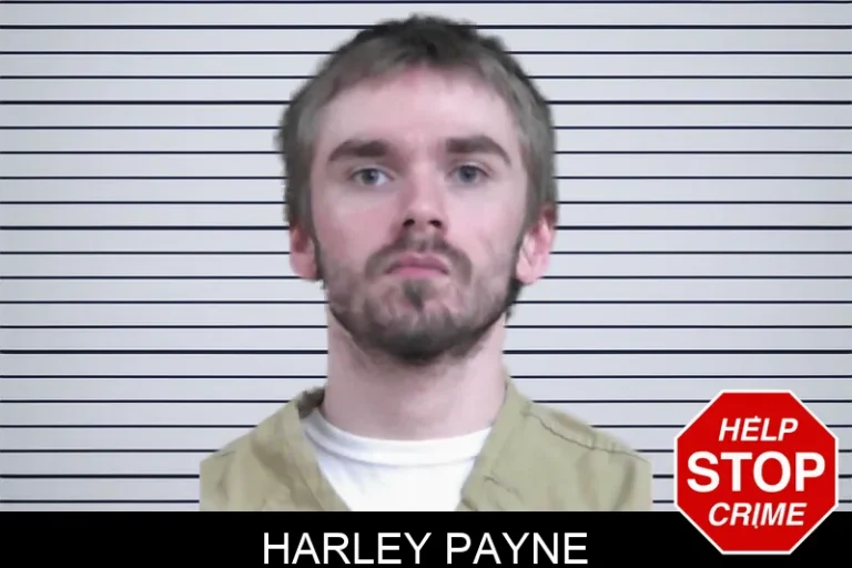 Harley Payne