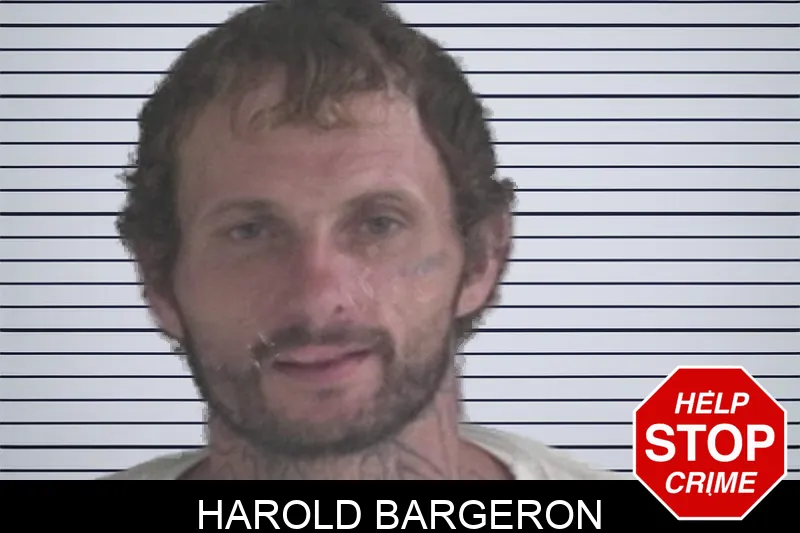 Harold Bargeron mugshot – Brantley County , Georgia Harold Bargeron mugshot