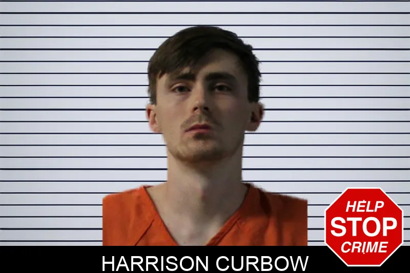 Harrison Curbow mugshot