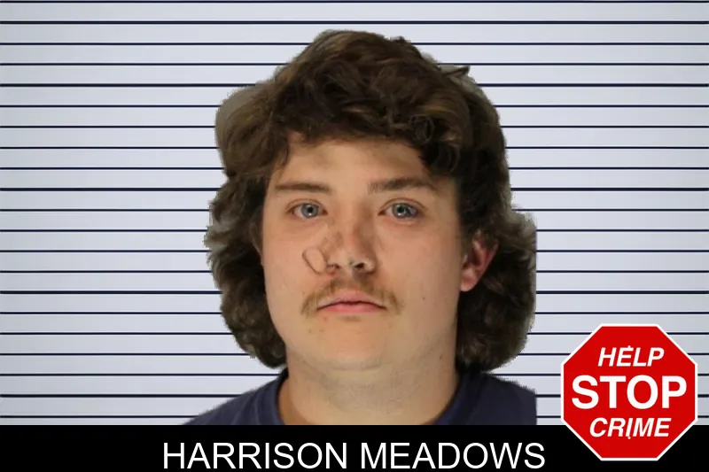 Harrison Meadows mugshot