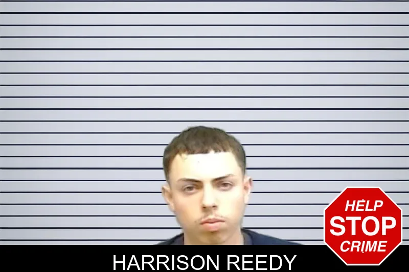 Harrison Reedy mugshot
