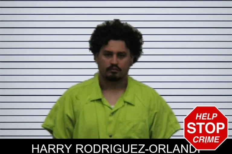 Harry Rodriguez-Orlandi