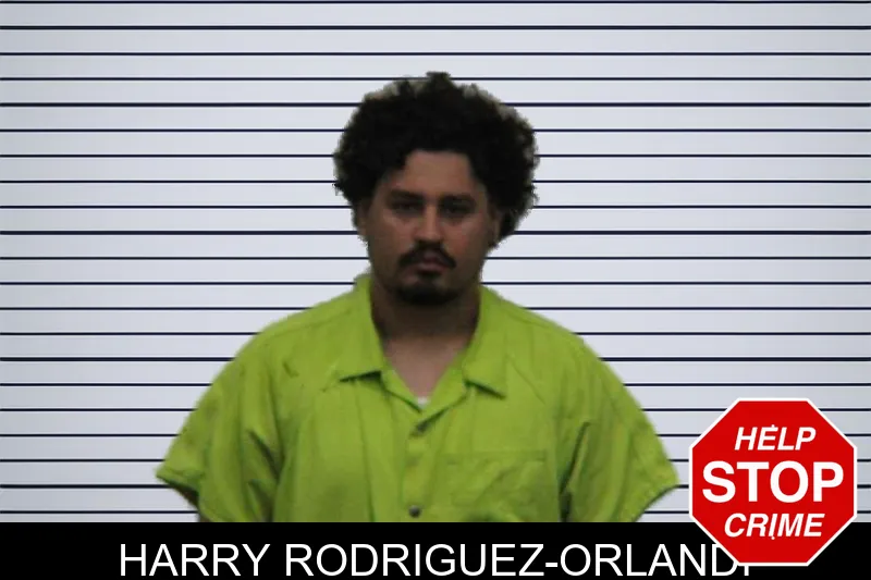 Harry Rodriguez-Orlandi mugshot