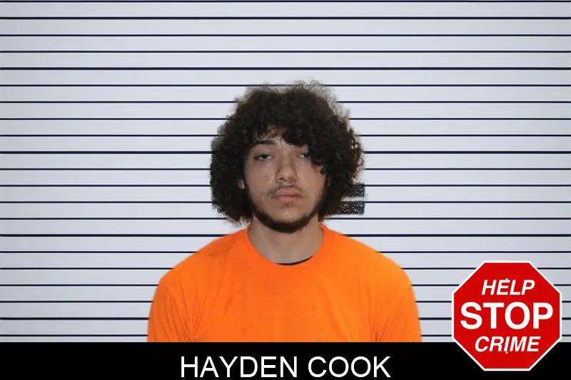 Hayden Cook mugshot