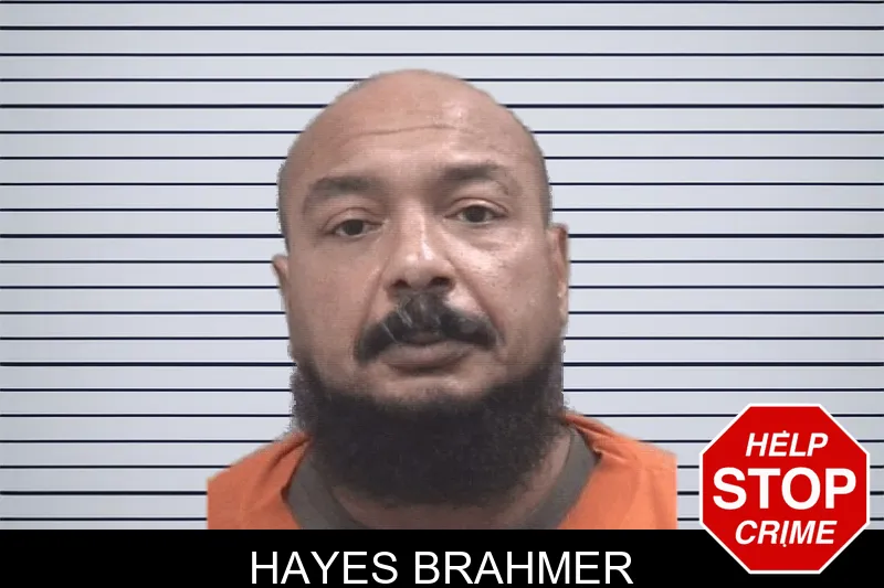 Hayes Brahmer mugshot