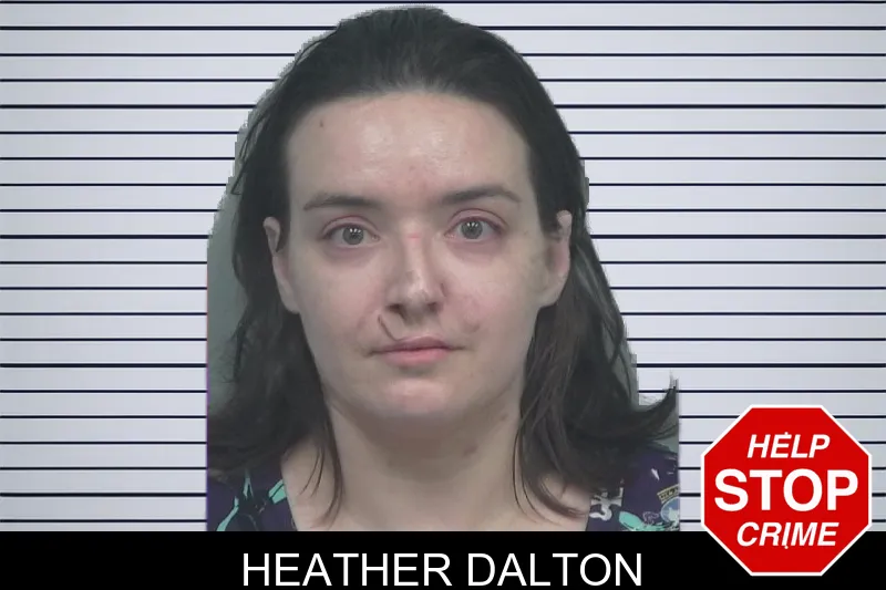 Heather Dalton mugshot – Gwinnett County , Georgia Heather Dalton mugshot