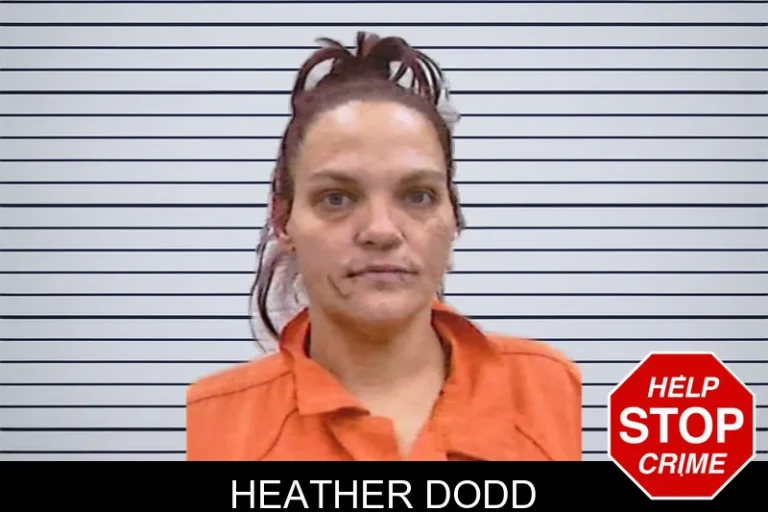 Heather Dodd mugshot – Screven County , Georgia Heather Dodd