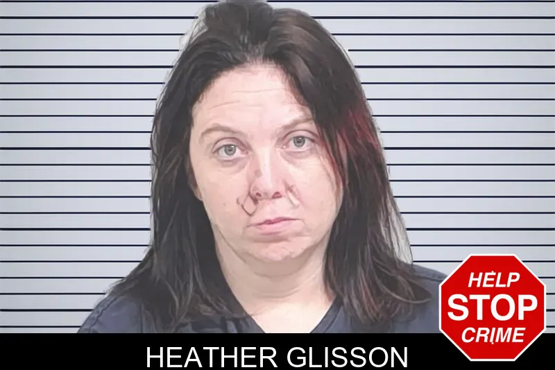 Heather Glisson mugshot – Lowndes County , Georgia Heather Glisson mugshot