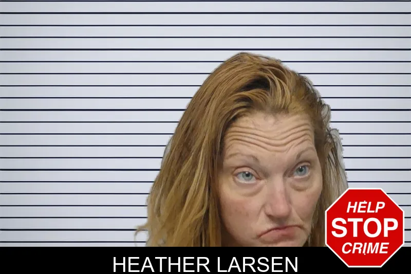 Heather Larsen mugshot – Bibb County , Georgia Heather Larsen mugshot