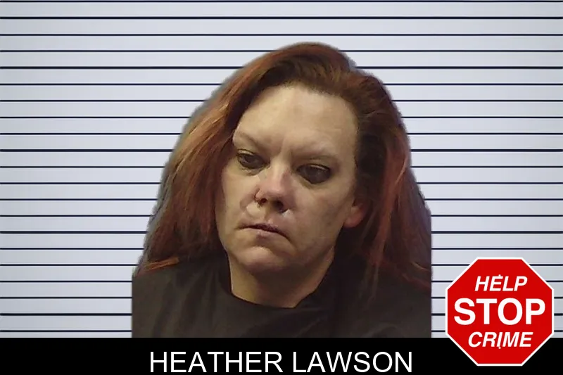 Heather Lawson mugshot