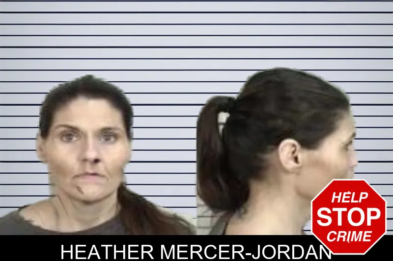 Heather Mercer-Jordan mugshot