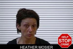 Heather Mosier mugshot