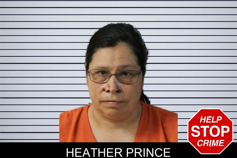 Heather Prince mugshot – Lumpkin County , Georgia Heather Prince mugshot