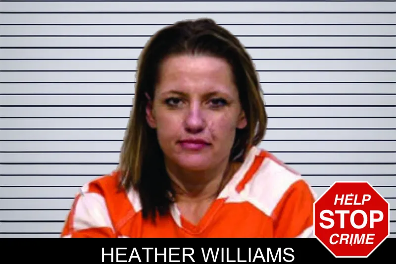 Heather Williams mugshot – Bartow County , Georgia Heather Williams mugshot