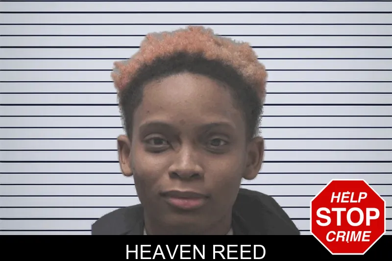 Heaven Reed mugshot – Coweta County , Georgia Heaven Reed mugshot