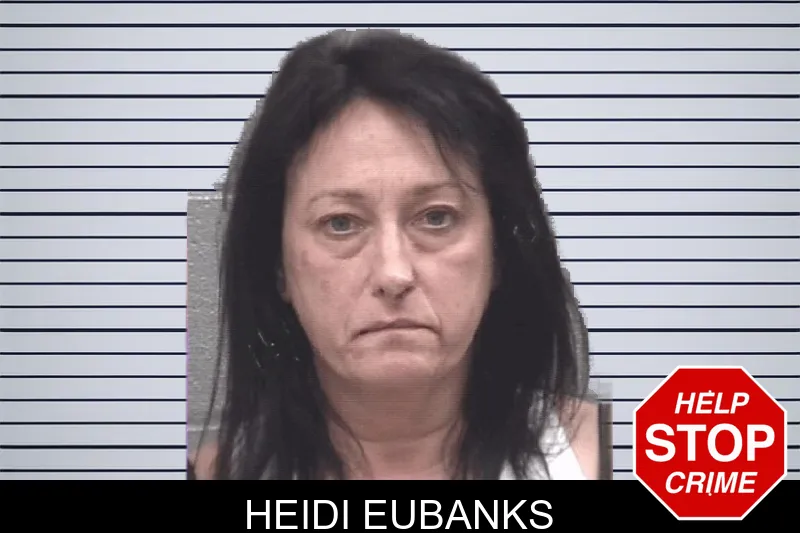 Heidi Eubanks mugshot