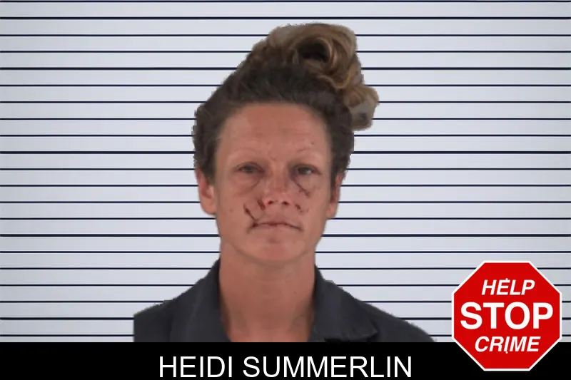 Heidi Summerlin mugshot