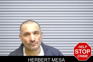 Herbert Mesa mugshot