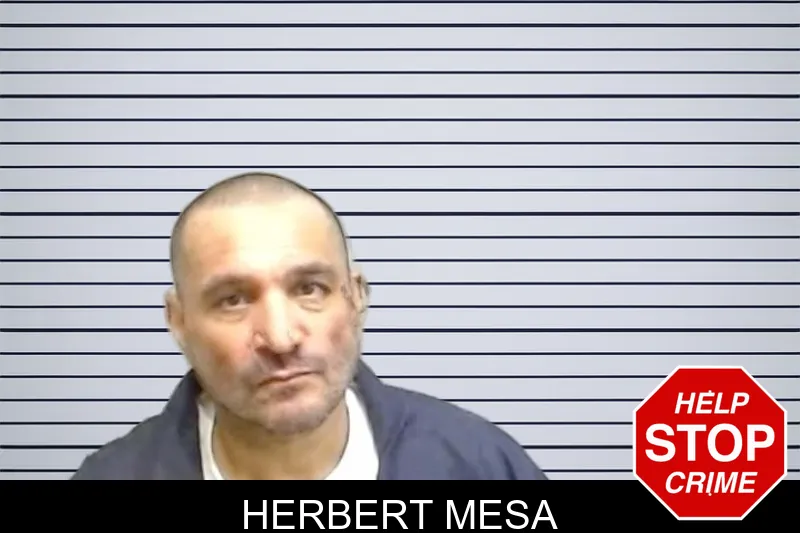 Herbert Mesa mugshot – Fulton County , Georgia Herbert Mesa mugshot