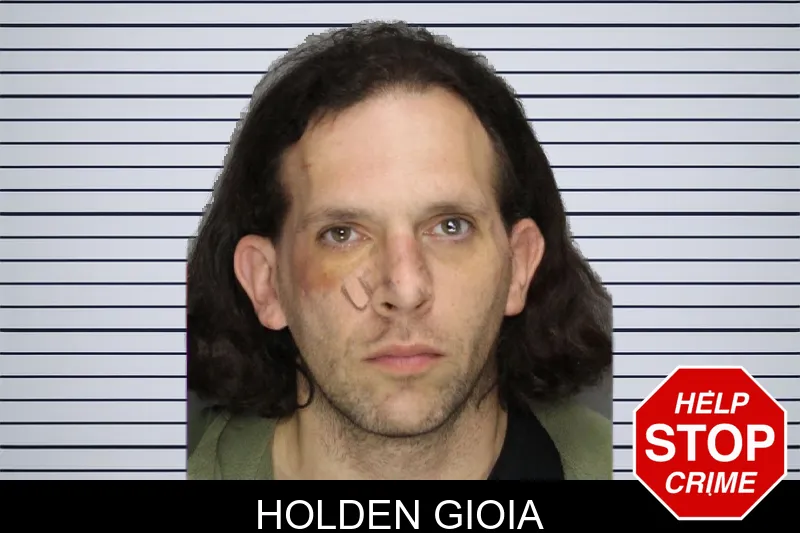 Holden Gioia mugshot