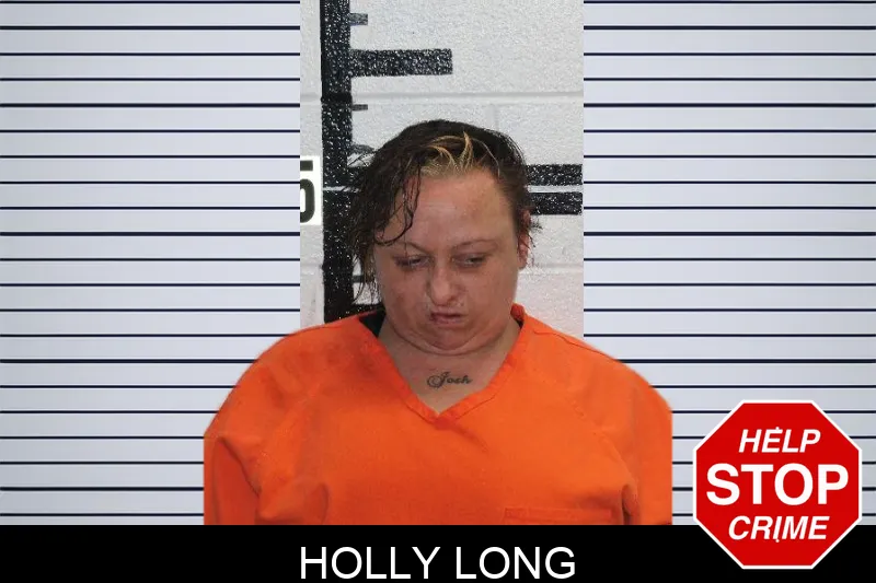 Holly Long mugshot – Murray County , Georgia Holly Long mugshot