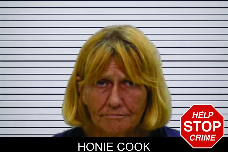 Honie Cook mugshot