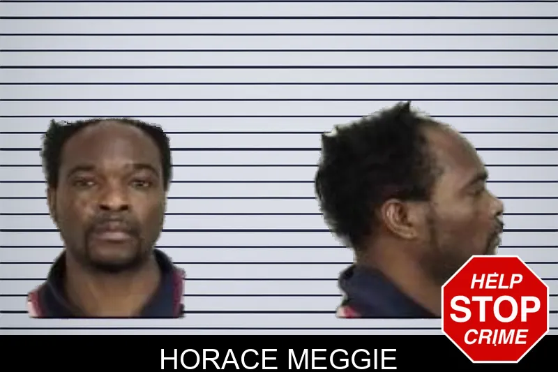 Horace Meggie mugshot