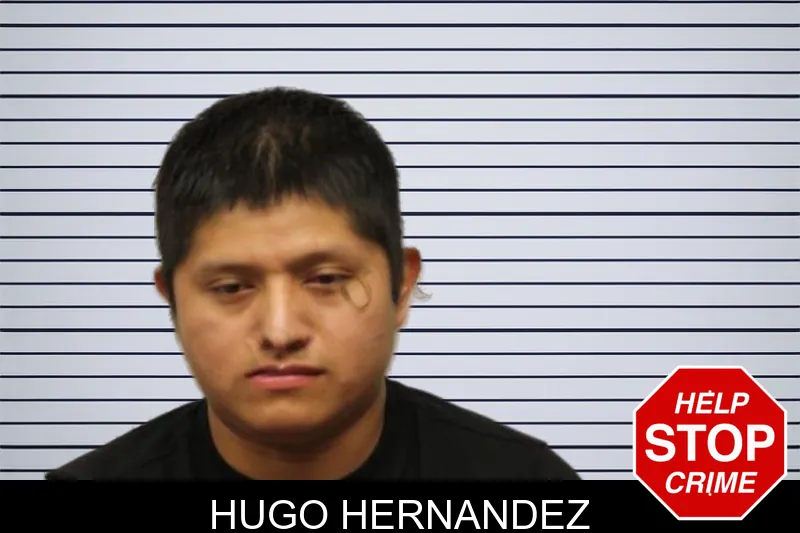 Hugo Hernandez mugshot